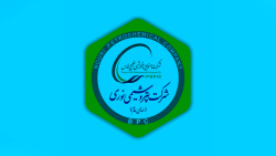 رشد ۶۵ درصدی ساخت داخل در پتروشیمی نوری